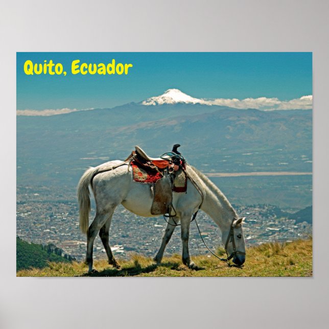 Horse & volcano, Quito, Ecuador Poster (Front)