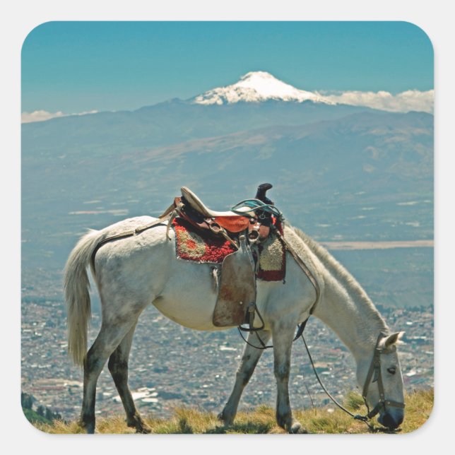 Horse & volcano, Quito, Ecuador Square Sticker (Front)