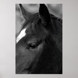 Horse wapcn poster
