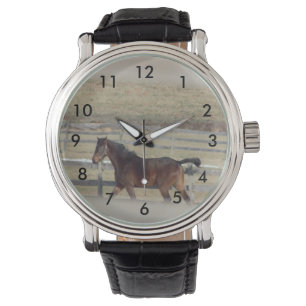Horse Watch