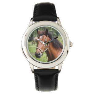 Horse Watch