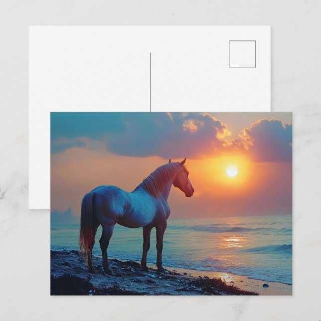 Horse Watching Sunset by the Seaside Postcard (Front/Back)