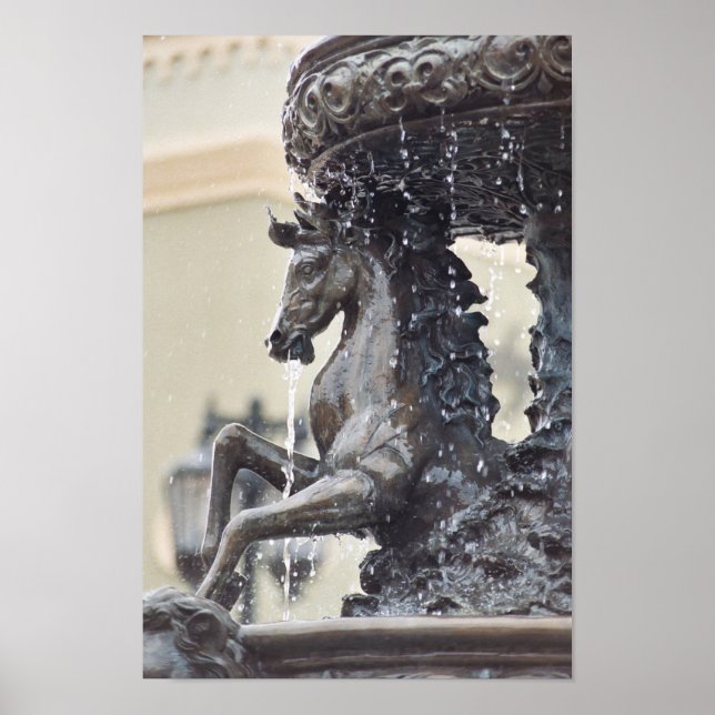 Horse Water Fountain Poster (Front)