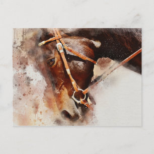 Horse Watercolor Art Postcard