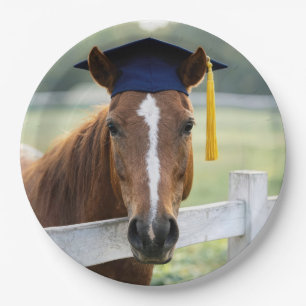 Horse Wearing a Graduate Cap Paper Plates