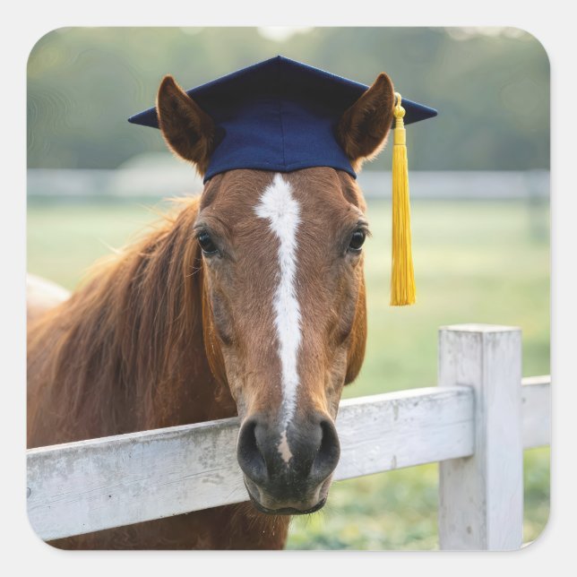 Horse Wearing a Graduate Cap Square Sticker (Front)