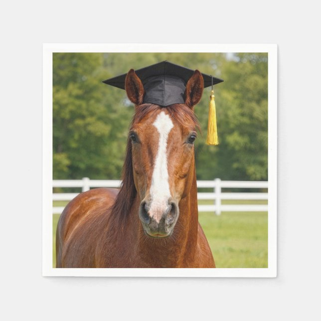 Horse Wearing a Graduation Cap Napkins (Front)