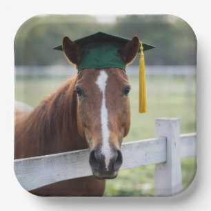 Horse Wearing a Green Graduation Cap Paper Plates