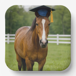 Horse Wearing a Navy Blue Graduation Cap Paper Plates