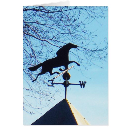 Horse Weather Vane Blue Sky Cards (Front)