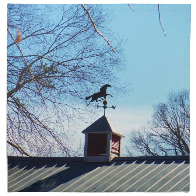 Horse Weather Vane Blue Sky Cloth Napkin (Front)
