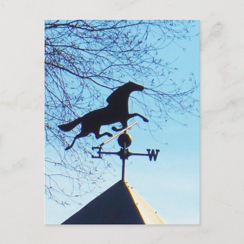 Horse Weather Vane Blue Sky Postcard