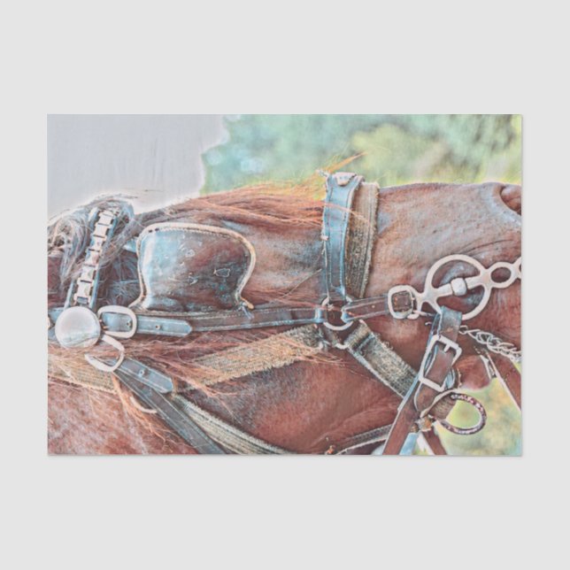 Horse Western Rustic Country Decoupage Tissue Paper (Front)