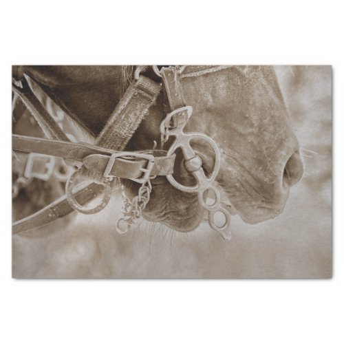 Vintage Rodeo Gift Wrap Papers