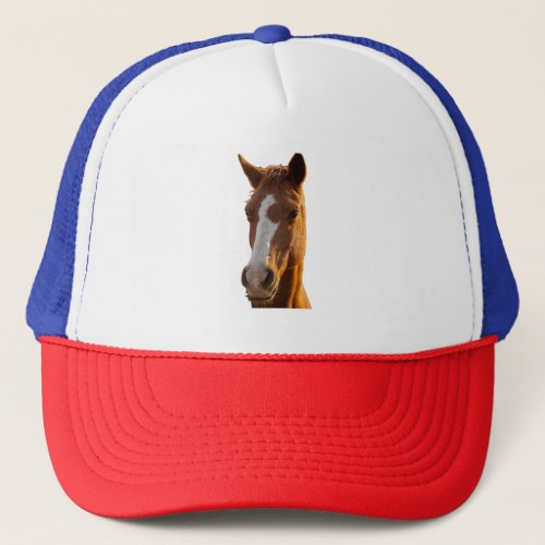 Horse Whisperer Trucker Hat