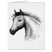 Horse:  White (Front)