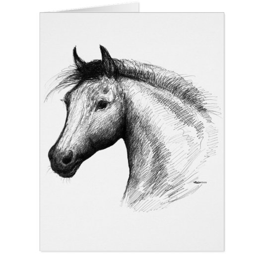 Horse:  White (Front)
