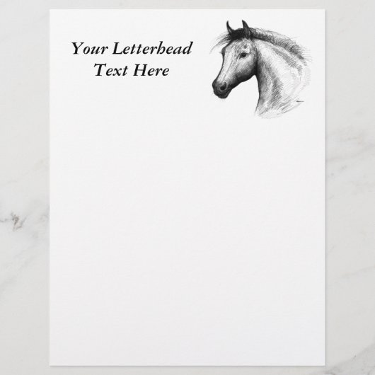 Horse:  White (Front)