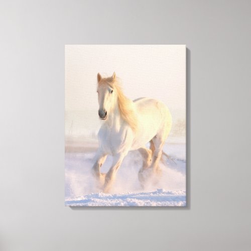 Horse white running alone in snow photo canvas print