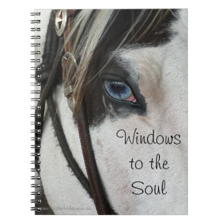 Horse Windows To The Soul Notebook or Journal