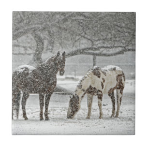 horse winter snow farm ranch animals snowy frozen ceramic tile