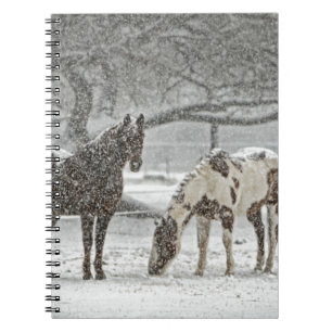 horse winter snow farm ranch animals snowy frozen notebook