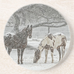 horse winter snow farm ranch animals snowy frozen sandstone coaster