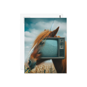 Horse With a vintage TV Face Postcard