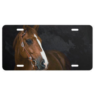 Horse with Black Background License Plate