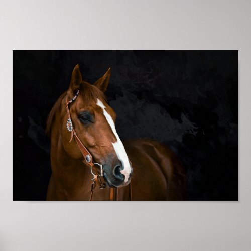 Horse with Black Background Poster