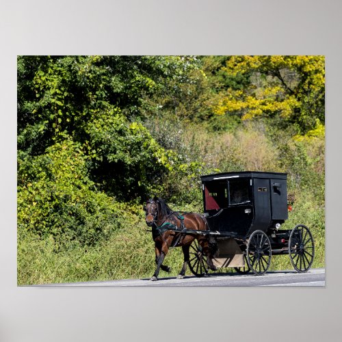 Horse with Buggy in Amish Country Poster