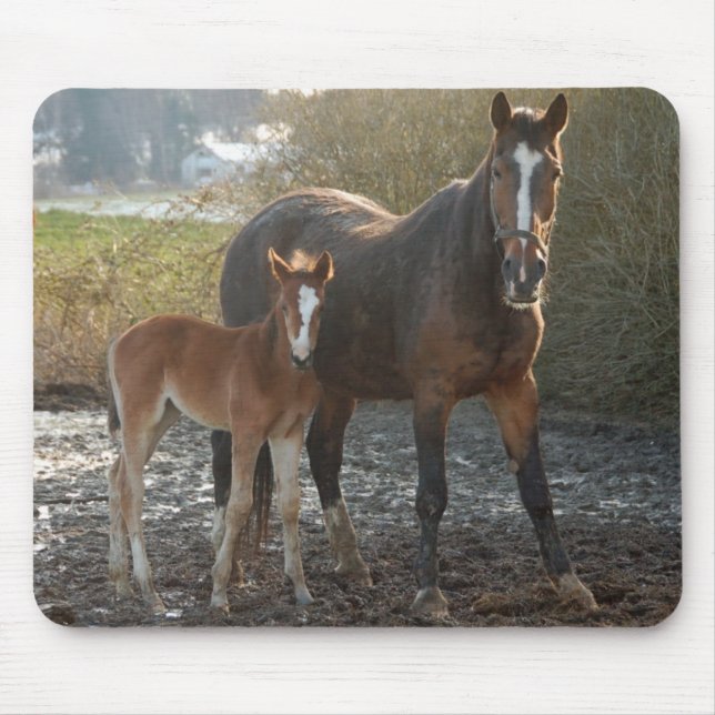 Horse with foal mousepad (Front)