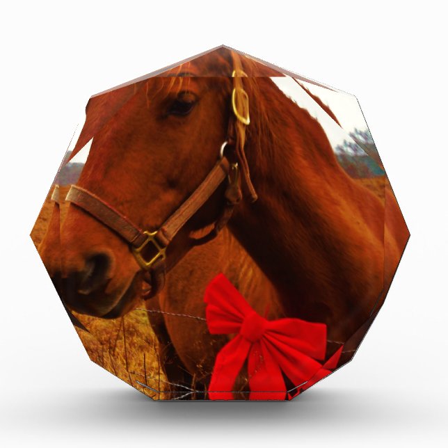 Horse with Red Bow Acrylic Award (Front)