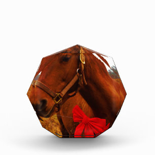 Horse with Red Bow Award