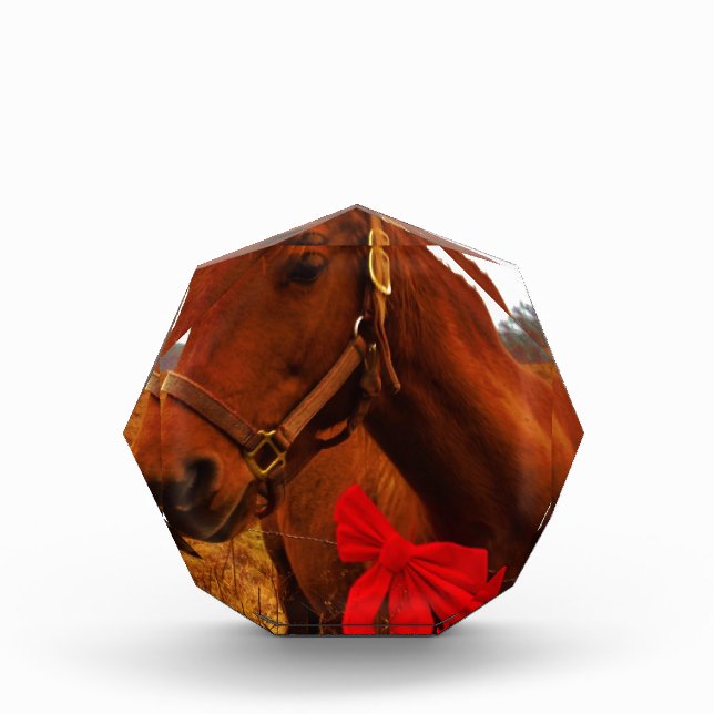 Horse with Red Bow Award (Front)