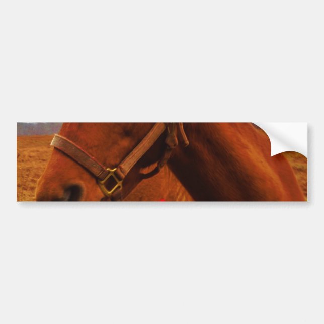Horse with Red Bow Bumper Sticker (Front)