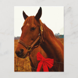 Horse with Red Bow Postcard