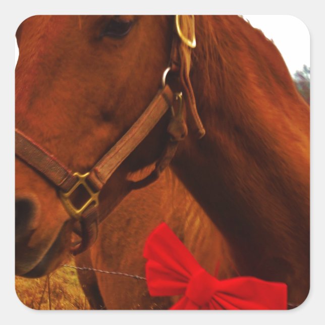 Horse with Red Bow Square Sticker (Front)