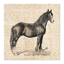 Horse with Script Paper Canvas Print