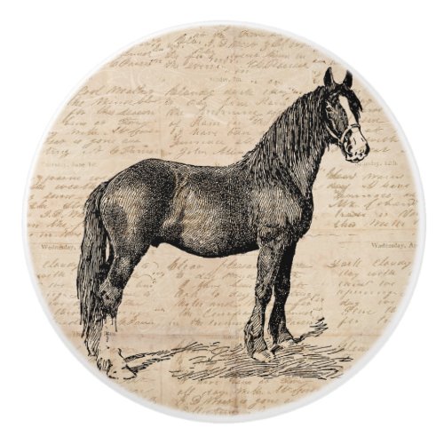 Horse with Script Paper Ceramic Knob