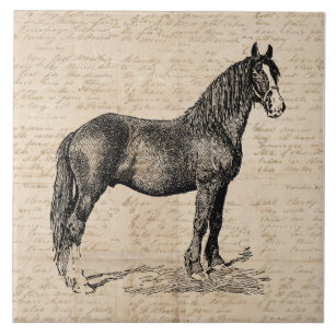 Horse with Script Paper Ceramic Tile