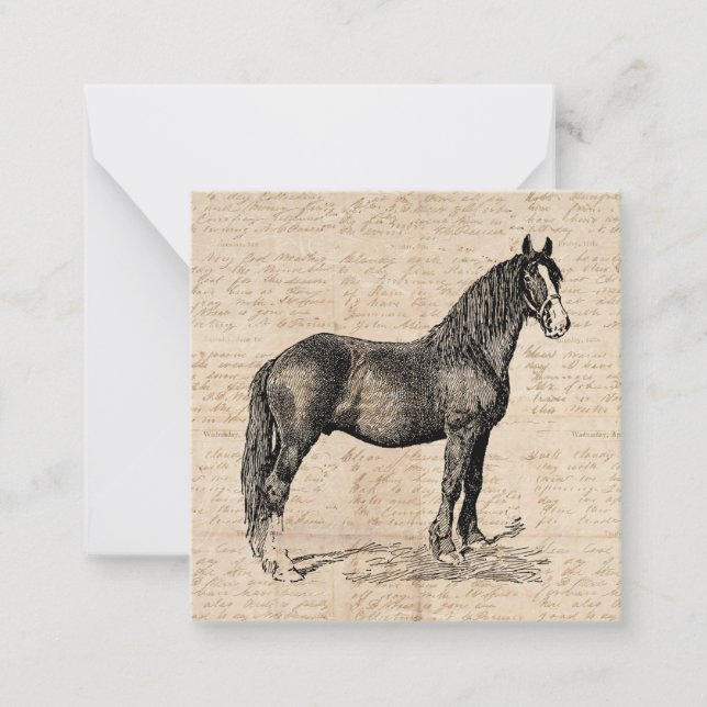 Horse with Script Paper Note Card (Front)