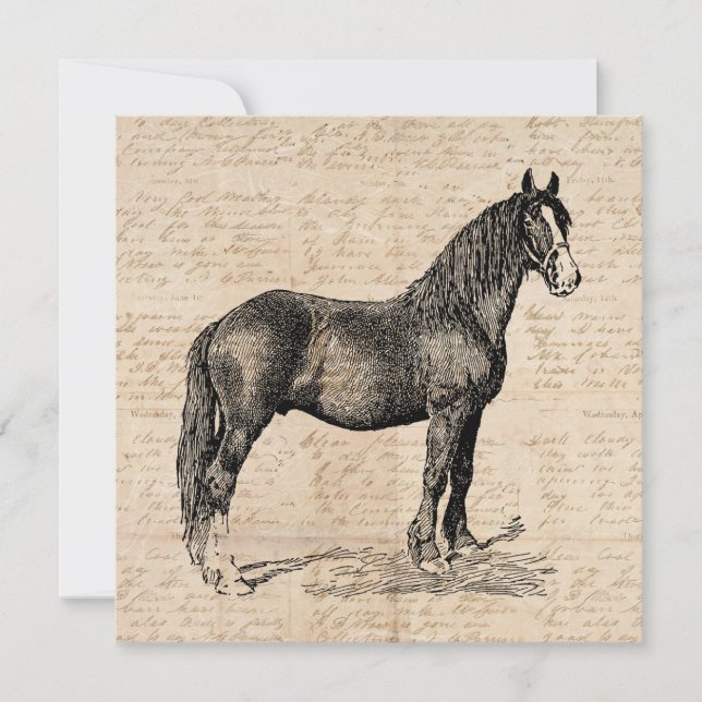 Horse with Script Paper Note Card (Front)