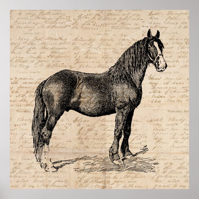 Horse with Script Paper Poster (Front)
