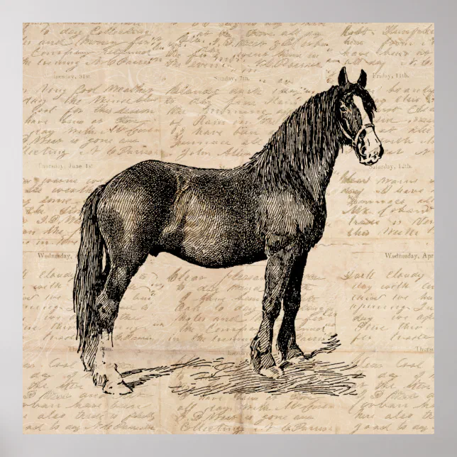 Horse with Script Paper Poster | Zazzle