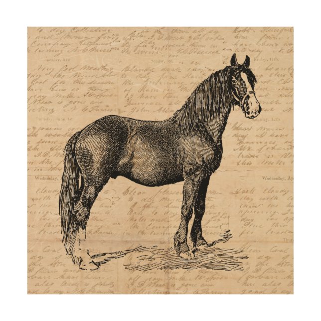 Horse with Script Paper Wood Wall Art (Front)