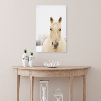 Horse With Snow On Head Canvas Print by prophoto at Zazzle