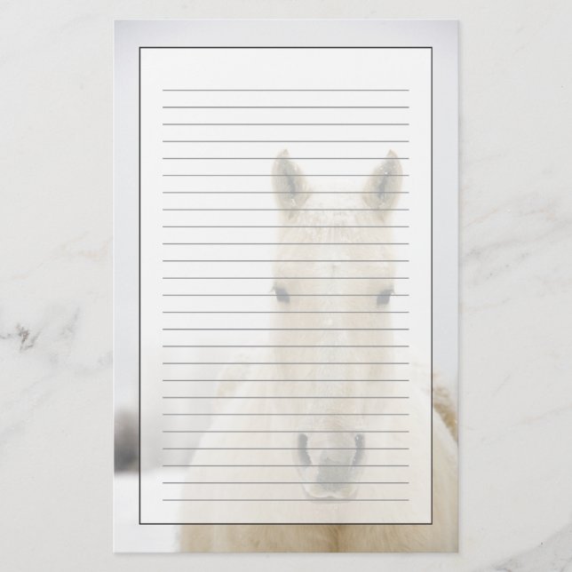 Horse with snow on head stationery (Front)