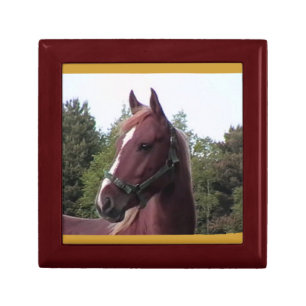 Horse ( Wood) Small Gift Box