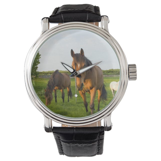 Horse Wrist watch (Front)